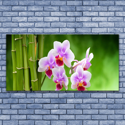 Quadro in vetro Orchidea di bambù Fiori Zen