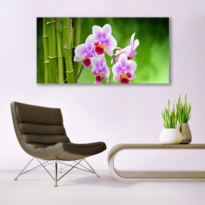 Quadro in vetro Orchidea di bambù Fiori Zen