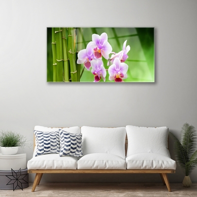 Quadro in vetro Orchidea di bambù Fiori Zen