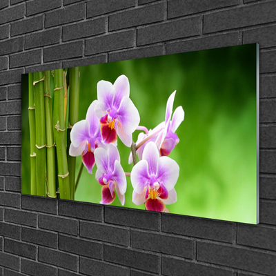 Quadro in vetro Orchidea di bambù Fiori Zen