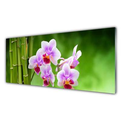 Quadro in vetro Orchidea di bambù Fiori Zen