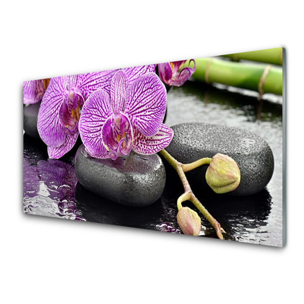 Quadro in vetro Spa Zen Orchid