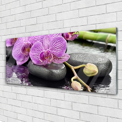 Quadro in vetro Spa Zen Orchid