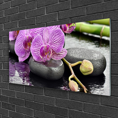 Quadro in vetro Spa Zen Orchid