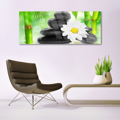 Quadro su vetro Fiore di bambù margherita