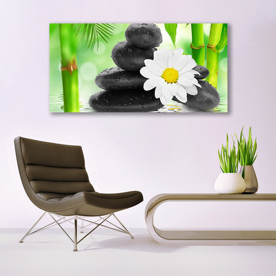 Quadro su vetro Fiore di bambù margherita