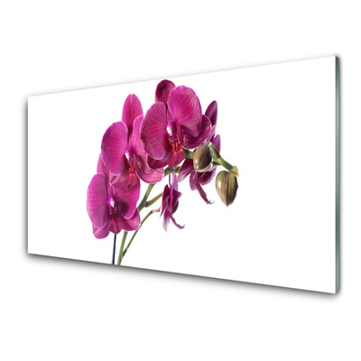 Quadro di vetro Orchidea Fiori della natura