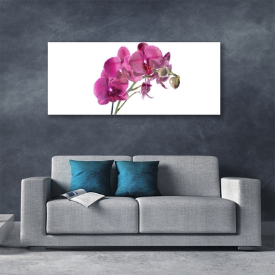 Quadro di vetro Orchidea Fiori della natura