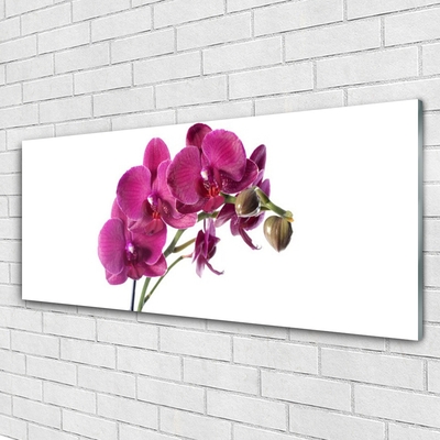 Quadro di vetro Orchidea Fiori della natura