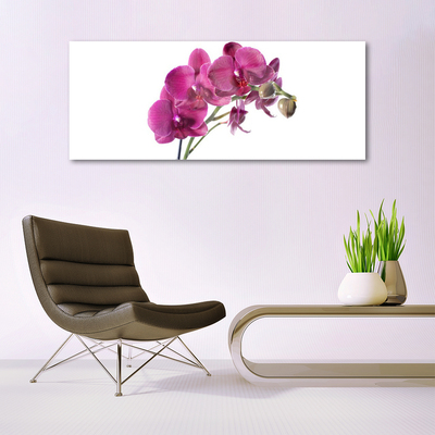 Quadro di vetro Orchidea Fiori della natura