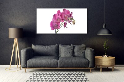 Quadro di vetro Orchidea Fiori della natura