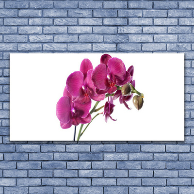 Quadro di vetro Orchidea Fiori della natura