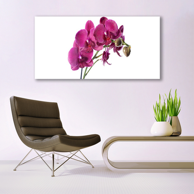 Quadro di vetro Orchidea Fiori della natura