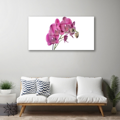 Quadro di vetro Orchidea Fiori della natura