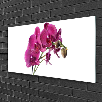 Quadro di vetro Orchidea Fiori della natura