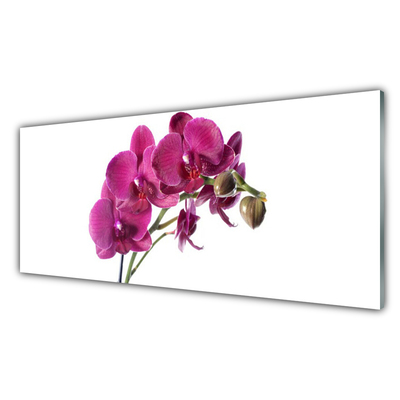 Quadro di vetro Orchidea Fiori della natura