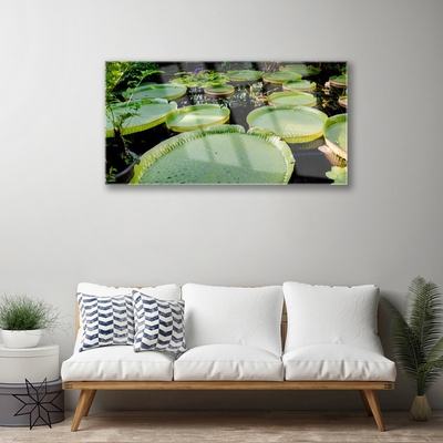 Quadro vetro Foglie Lago Natura