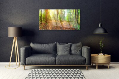 Quadro su vetro Sole Sentiero Natura Foresta