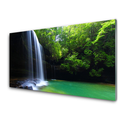 Quadro in vetro Cascata Natura Foresta Lago