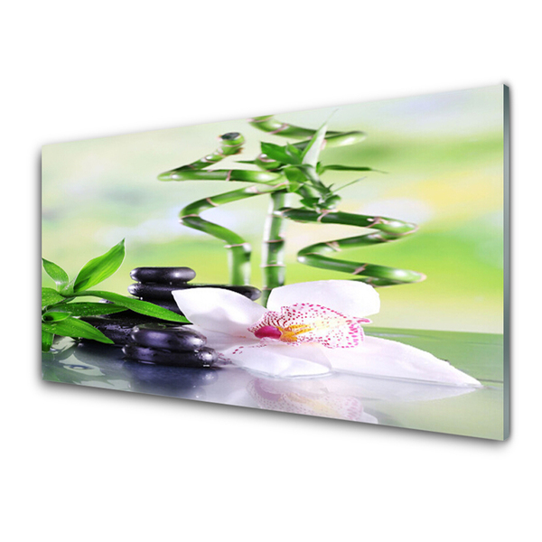 Quadro in vetro Orchidea Bambù Zen Spa