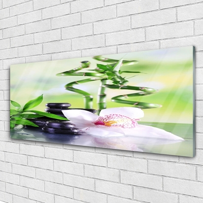 Quadro in vetro Orchidea Bambù Zen Spa