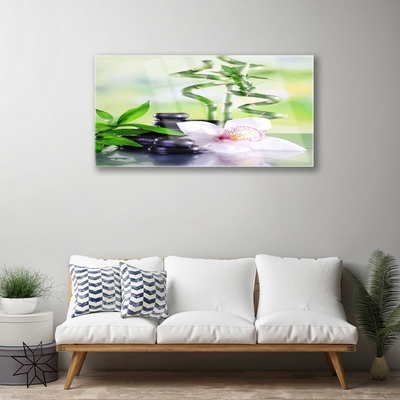 Quadro in vetro Orchidea Bambù Zen Spa