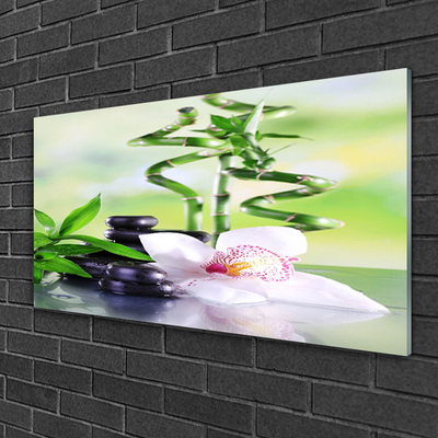 Quadro in vetro Orchidea Bambù Zen Spa