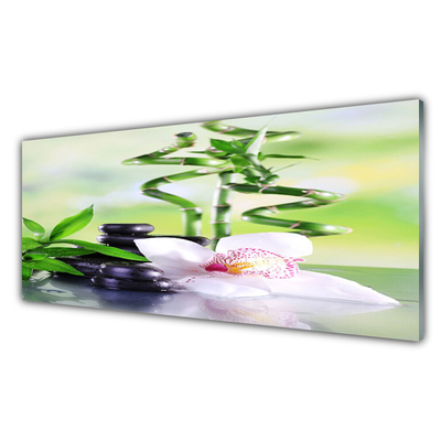 Quadro in vetro Orchidea Bambù Zen Spa