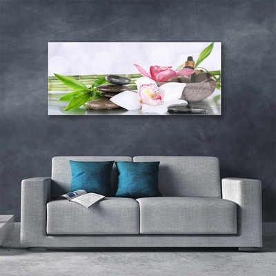 Quadro in vetro Fiori di orchidea Bambù