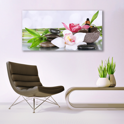 Quadro in vetro Fiori di orchidea Bambù