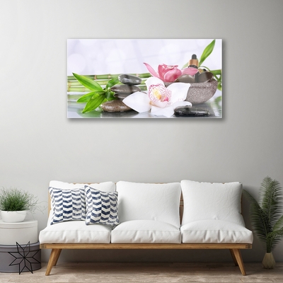 Quadro in vetro Fiori di orchidea Bambù