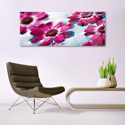 Quadro di vetro Fiori sull'acqua della natura