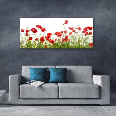 Quadro in vetro Papaveri dei prati Fiori della natura