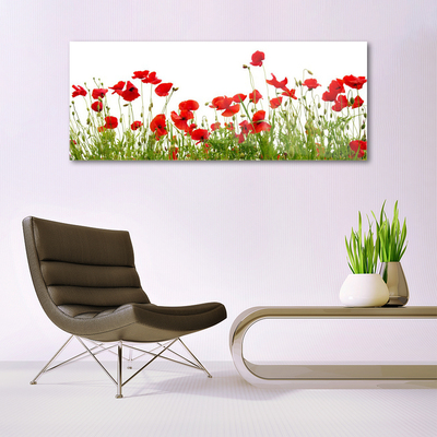 Quadro in vetro Papaveri dei prati Fiori della natura