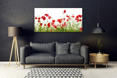 Quadro in vetro Papaveri dei prati Fiori della natura