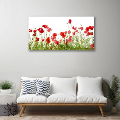 Quadro in vetro Papaveri dei prati Fiori della natura