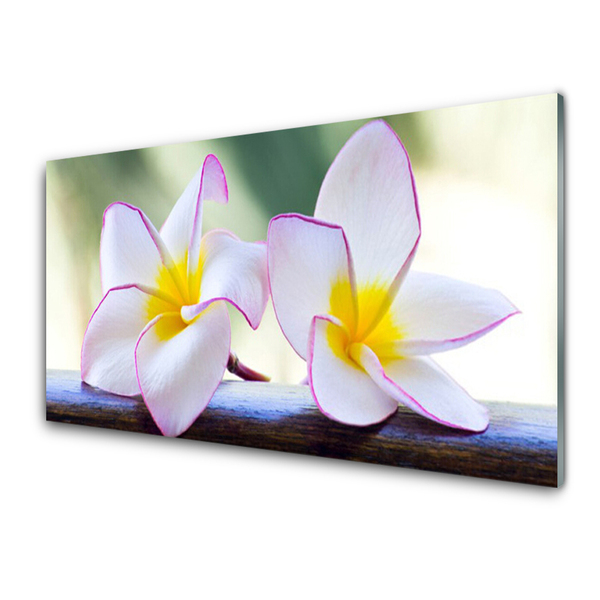 Quadro in vetro Fiori Petali Plumeria