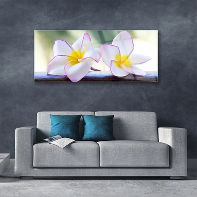 Quadro in vetro Fiori Petali Plumeria