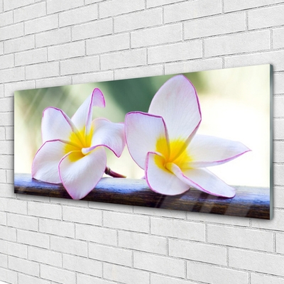 Quadro in vetro Fiori Petali Plumeria