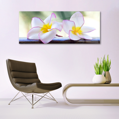 Quadro in vetro Fiori Petali Plumeria