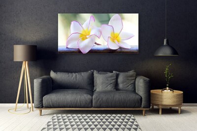 Quadro in vetro Fiori Petali Plumeria