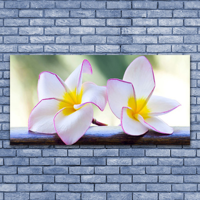 Quadro in vetro Fiori Petali Plumeria