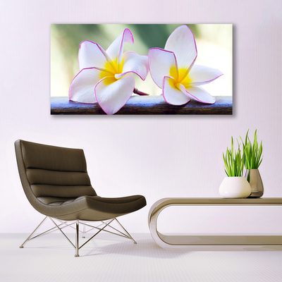 Quadro in vetro Fiori Petali Plumeria