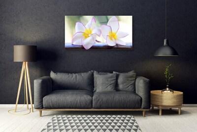 Quadro in vetro Fiori Petali Plumeria