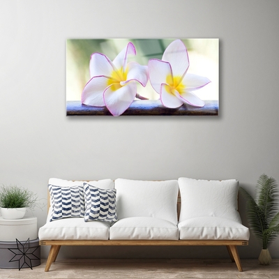 Quadro in vetro Fiori Petali Plumeria