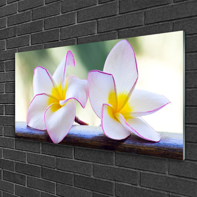 Quadro in vetro Fiori Petali Plumeria