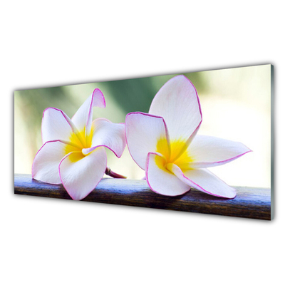 Quadro in vetro Fiori Petali Plumeria