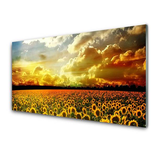 Quadro su vetro Paesaggio del campo di girasoli