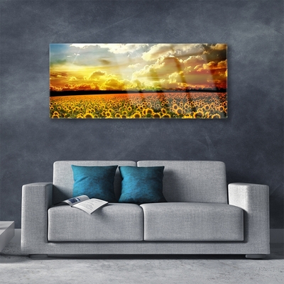 Quadro su vetro Paesaggio del campo di girasoli