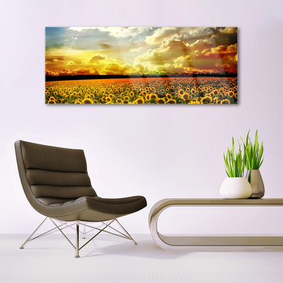 Quadro su vetro Paesaggio del campo di girasoli